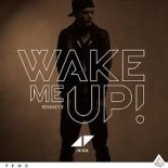 Audiosonik, BALD - Wake Me Up